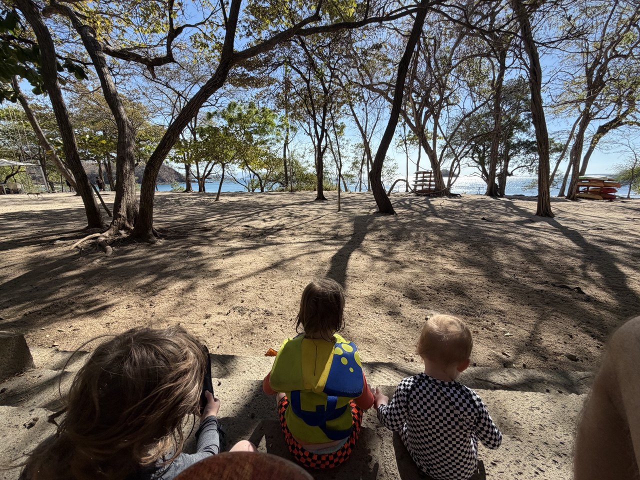 Three boys walking through trees toward the beach