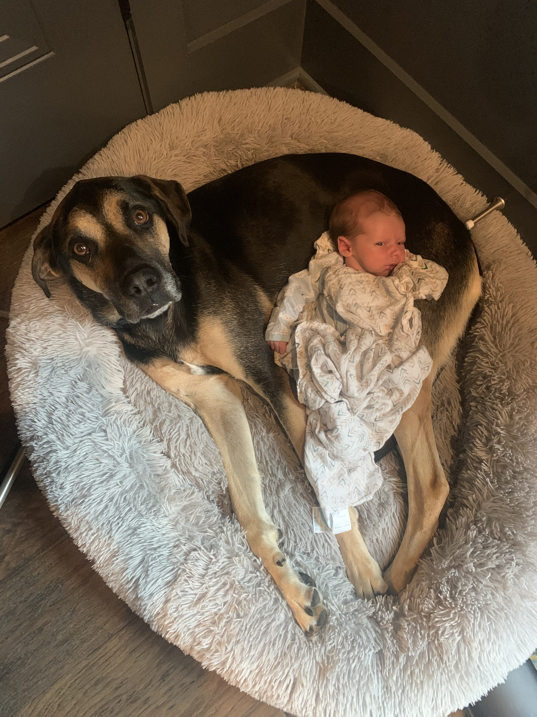 Denver after baby number one