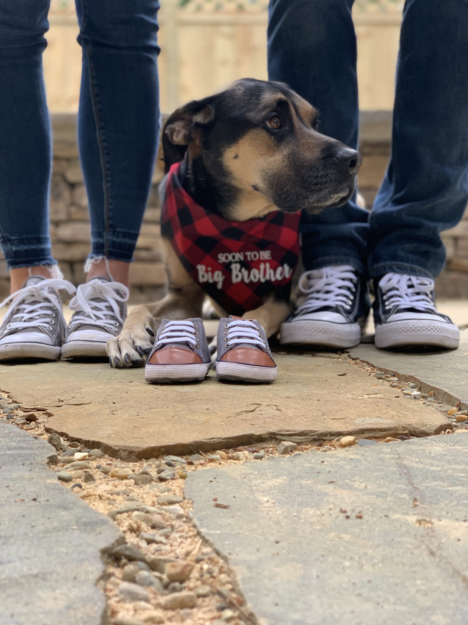 Denver before the babies