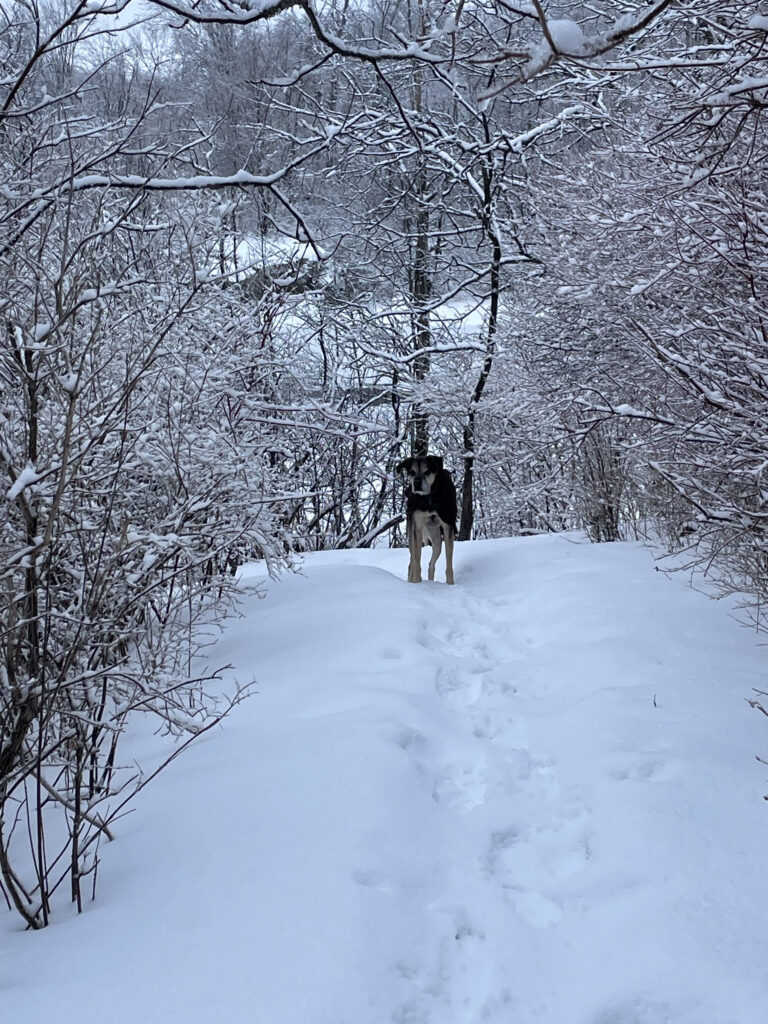 Denver’s Early Retirement