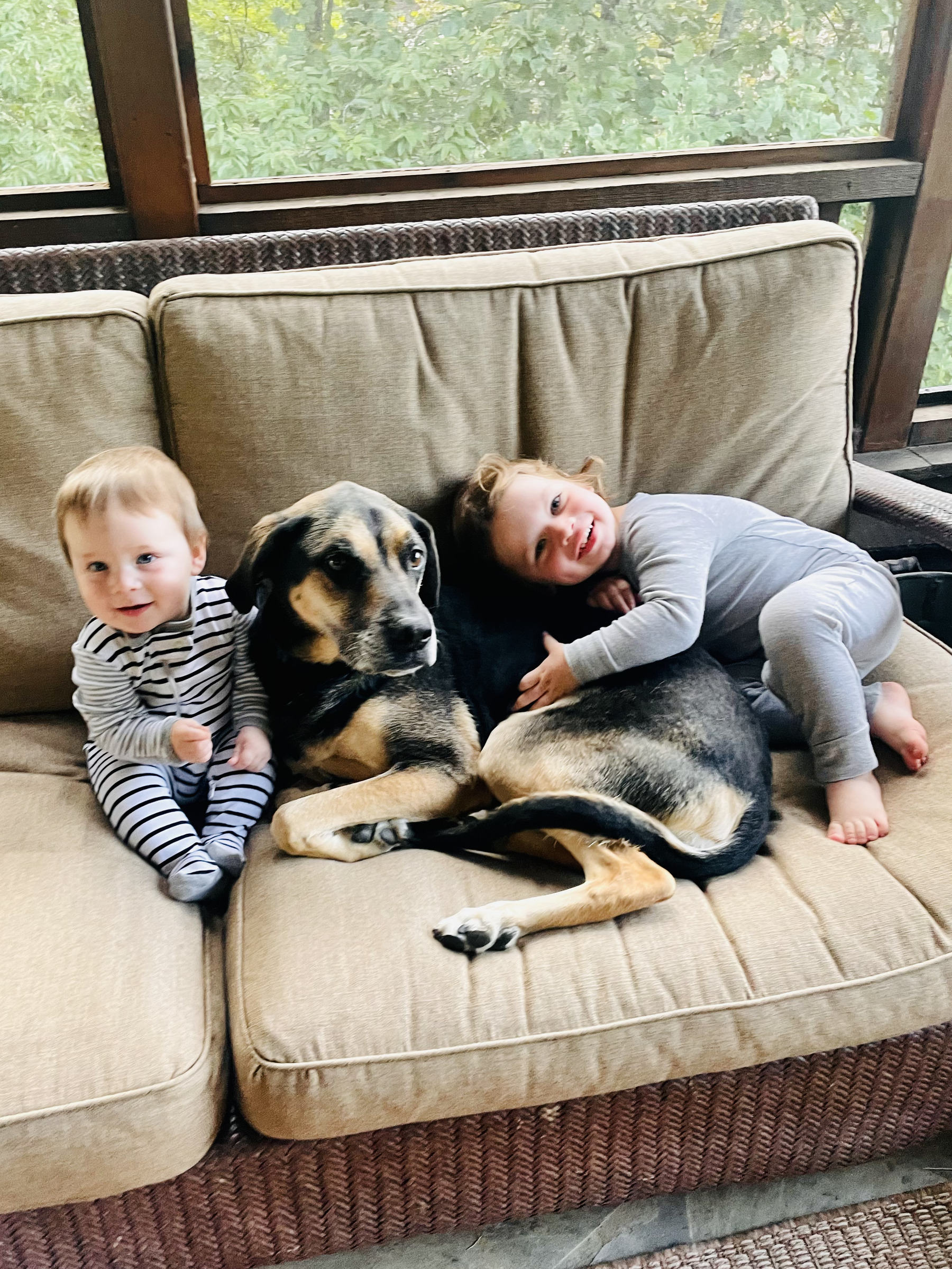 Denver with Ryder and Sawyer