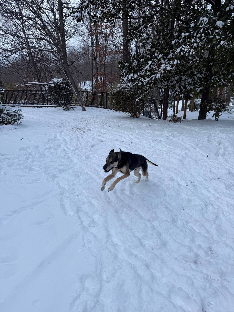 Kids playing in the snow